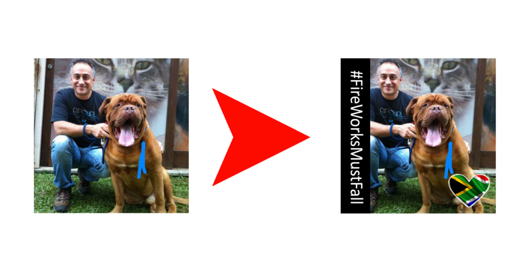 man-dog-share